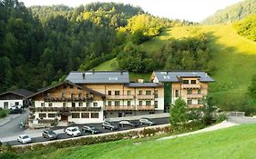 Friedlwirt-Kraftplatz Natur